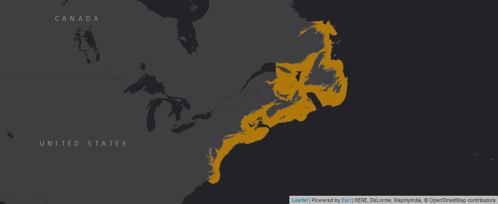 Map of geographic range of American Lobster North New England and Canadian coastal regions highlighted