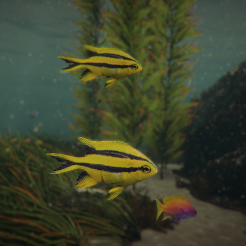 Indo-Pacific Yellowtail Damsel fish Horizon Forbidden West screenshot