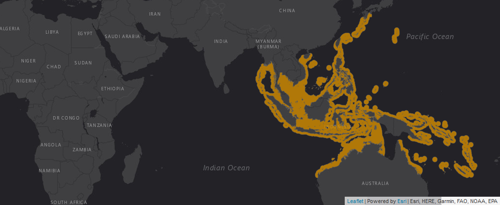 Map of geographic range of Indo-Pacific Yellowtail Damsel with Indo-Pacific coastal regions highlighted