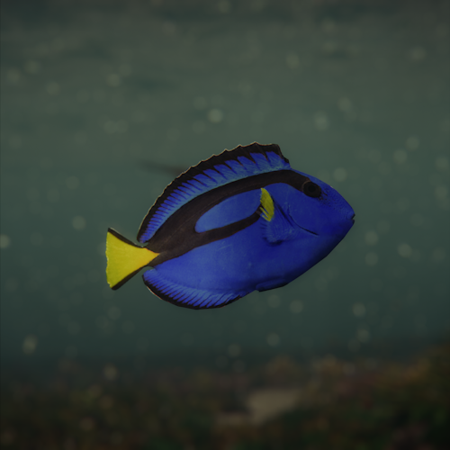 Regal Tang fish Horizon Forbidden West screenshot