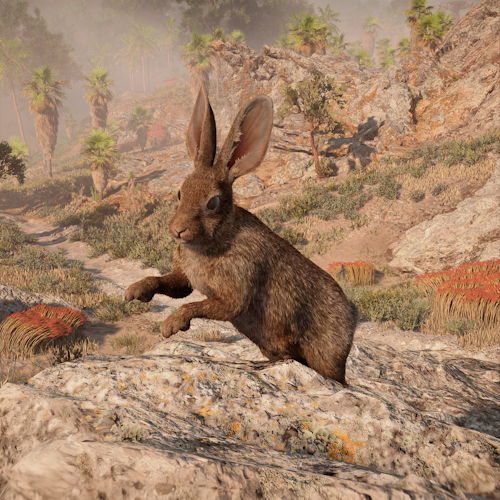 Desert Cottontail rabbit Horizon Forbidden West screenshot