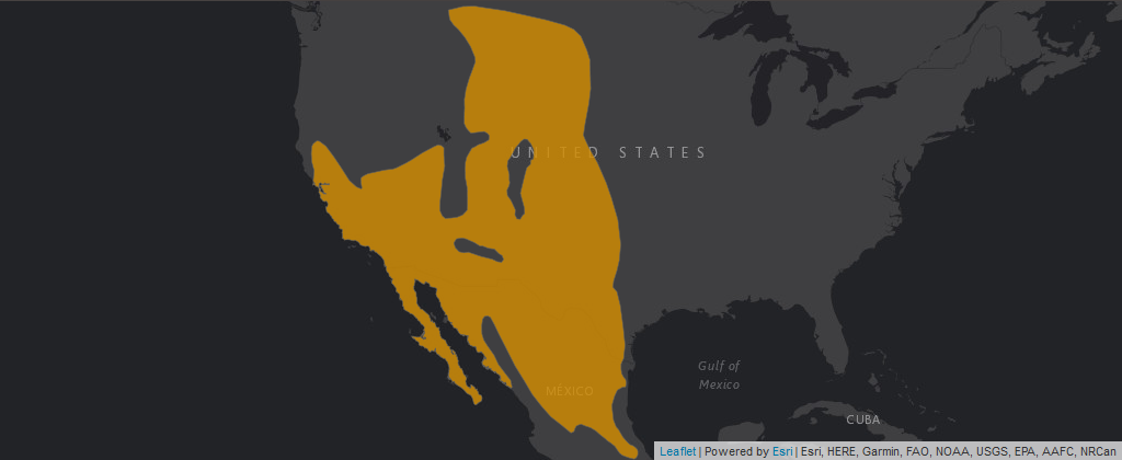 Map of geographic range of Desert Cottontail American Southwest and upper Mid-West and northern Mexico highlighted