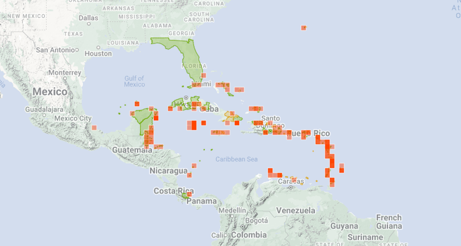 Map of geographic range of Yellow Tube Sponge reported sightings in countries Mexico Cuba Puerto Rico Guatemala Costa Rica Venezuela and Florida Keys